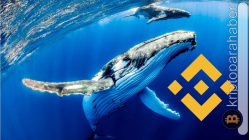 BNB balinasından dev hareket! Meme coin en çok tercih edilen varlık oldu!