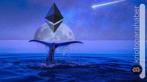 Balinalar düşüşte yüklü miktarda Ethereum alımı yapıyor!