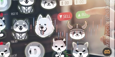 Bu meme coin'e dikkat! LUNA'yı takip edebilir!