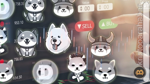 Bu meme coin’e dikkat! LUNA’yı takip edebilir!