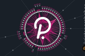 Polkadot zinciler arası mesajlaşma sistemini başlattı! Ne anlama geliyor?