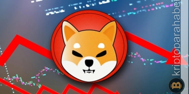 İşler tersine mi döndü? Bu altcoin Shiba'yı geride bıraktı!