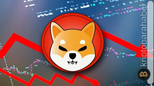 İşler tersine mi döndü? Bu altcoin Shiba’yı geride bıraktı!