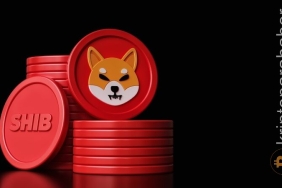 SHIB yatırımcılarına kötü haber! Meme coin %60'a varan düşüşe hazırlanıyor!