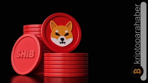 SHIB yatırımcılarına kötü haber! Meme coin %60’a varan düşüşe hazırlanıyor!