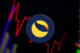 Terra topluluğu bakın kasım ayında ne kadar yakım gerçekleştirdi?