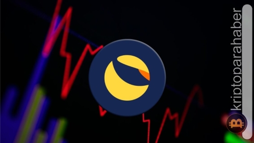 Terra topluluğu bakın kasım ayında ne kadar yakım gerçekleştirdi?