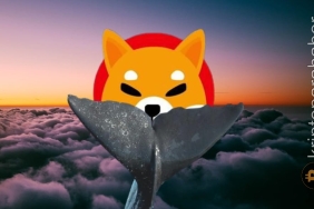 Popüler balina adresi bu meme coin'den vazgeçmiyor!