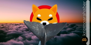 Popüler balina adresi bu meme coin'den vazgeçmiyor!