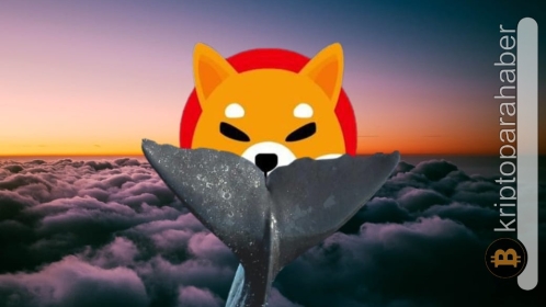 Popüler balina adresi bu meme coin’den vazgeçmiyor!