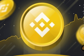 Binance Coin (BNB) yapılan haberlerin ardından düşüyor! Düşüş devam edecek mi?