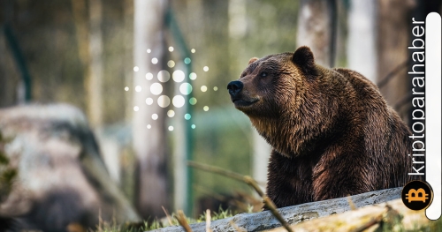 ADA ayıları geri döndü, tasfiyeler dikkat çekti! Yatırımcılar hamle yapmadan önce dikkat etmeli