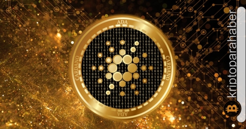 Yatırımcılar tercihlerini yaptı: Bu altcoin ayı piyasasında satın almak için en iyi tercih!