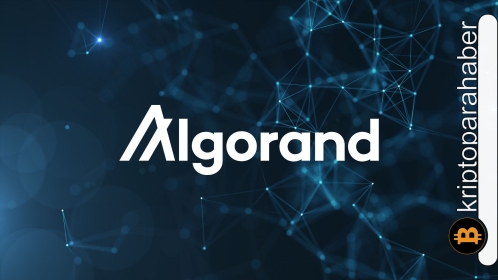 ALGO, düşüş hissiyatını yok etmek için mücadeleye devam ediyor! Başarılı olabilecek mi?