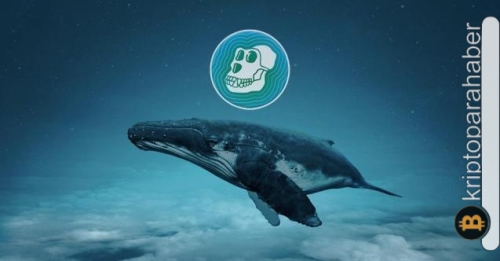 Bu altcoin, son 24 saatte balinaların gözdesi oldu! Peki, fiyat performansı nasıl?