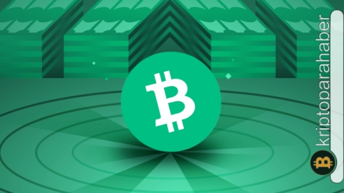 BCH yatırımcıları, piyasa bu haldeyken kâr etmenin bir yolunu arıyorlar! Peki bu mümkün mü?