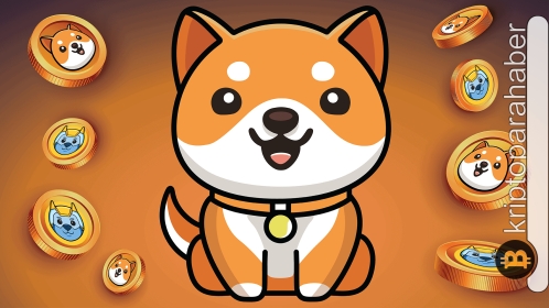 BabyDoge topluluğu yeni bir dönüm noktasına ulaştı! Fiyata etkisi ne olacak?