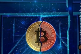 Ünlü analist konuştu: "Şimdiye kadarki en iyi Bitcoin alım fırsatı olabilir!"