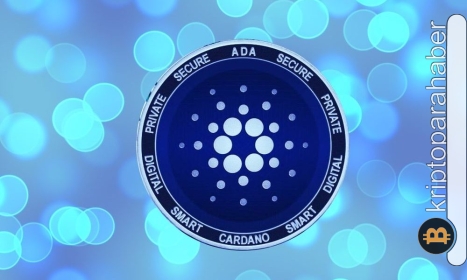 Balinaların Cardano’ya olan ilgileri azaldı! Peki, bunun fiyat üzerindeki etkileri ne olacak?