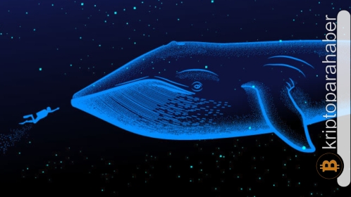 Bu token, ETH balinaları biriktirmeye devam ederken önemli bir dönüm noktasına ulaştı!