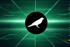 Son günlerin kârlı altcoin'i zirveye ulaştı! Ancak göstergeler ne diyor?