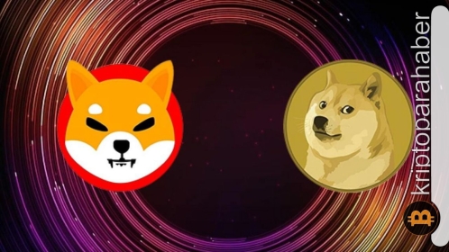 Meme coin analizi: SHIB ve DOGE kazanımları ne aşamada?