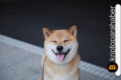 Shiba Inu fiyatını hareketlendirebilecek bir gelişme: Brezilya’nın futbol kulübü ödeme yöntemi olarak kabul edecek!
