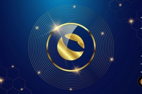 Terra Classic, yeni yılı nasıl bir fiyatlanma ile karşılayacak?