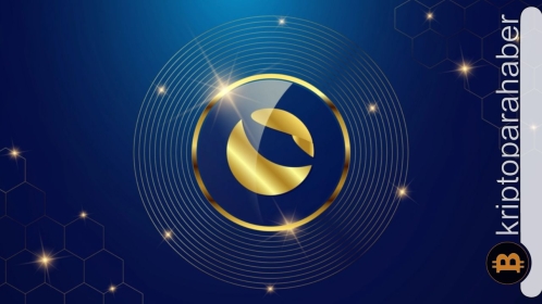 Sıcak haber: Terra çalışanı 80 Bitcoin çaldı, Güney Kore polisinden anında onay geldi!