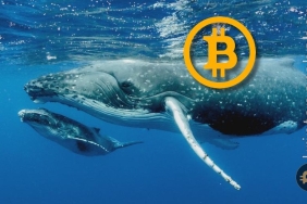 Bitcoin'de büyük hareketlilik var! Fiyat için ne anlama gelebilir?