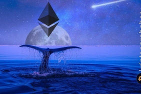 Ethereum balinalarının yeni gözdesi bu meme coin! Düşüşe rağmen biriktiriyorlar!