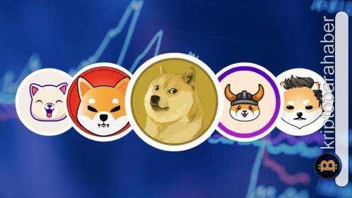 BSC balinalarının en çok ilgilendiği meme coin belli oldu! Alım fırsatı olarak görüyorlar