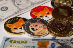 Popüler meme coin'in yatırımcı sayısı fiyat düşerken artıyor!