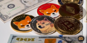 Popüler meme coin'in yatırımcı sayısı fiyat düşerken artıyor!