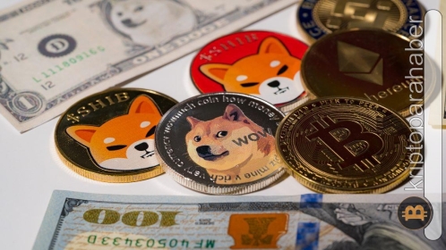 Popüler meme coin’in yatırımcı sayısı fiyat düşerken artıyor!