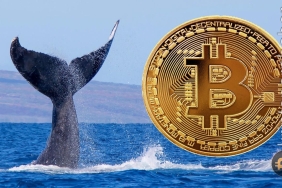 Bitcoin'de olağanüstü balina aktivitesi: BTC yatırımcılarını ne bekliyor?