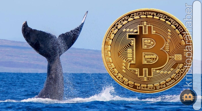 Bitcoin'de olağanüstü balina aktivitesi: BTC yatırımcılarını ne bekliyor?
