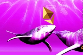 Ethereum balinaları bu meme coin'den vazgeçmiyor! Birikimin arkasında ne var?
