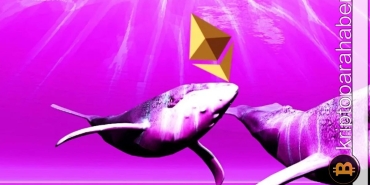 Ethereum balinaları bu meme coin'den vazgeçmiyor! Birikimin arkasında ne var?