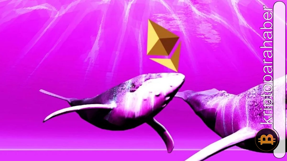 Ethereum balinaları bu meme coin'den vazgeçmiyor! Birikimin arkasında ne var?