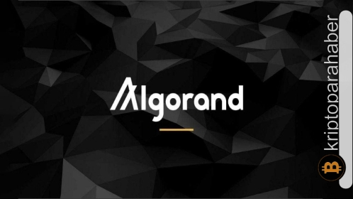 Ayıların hâkimiyetinden kurtulan bu altcoin, yatırımcıların güvenini geri kazanmaya çalışıyor!