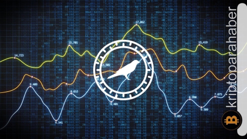 Altcoinler tek tek rengini belli ediyor: Peki Kusama kendi boğasını yaşayabilecek mi?