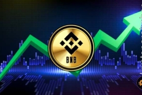 BNB'de dönüm noktası: BNB/BTC paritesi zirveye ulaştı!