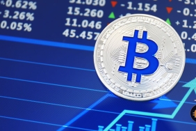 Bitcoin boğaları geri döndü: 23.000 dolar görüldü