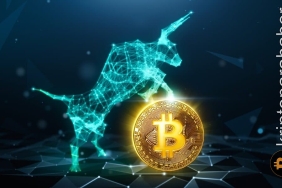 Popüler analist konuştu: "Bitcoin boğa koşusu bu tarihte başlayacak"