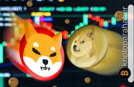 Gözde meme coin’ler piyasanın desteği ile rallilere başladı! Yükseliş devam edecek mi?