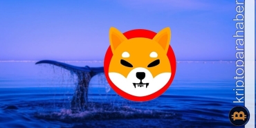 Ethereum balinasından dev hamle: Shiba Inu geri döndü!