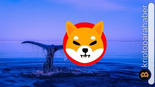 Ethereum balinasından dev hamle: Shiba Inu geri döndü!