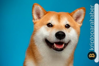 Shiba Inu balinaları büyük hamleler yapıyor! Meme coin’in fiyatında patlama yaşanabilir