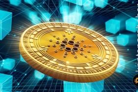 Gözler bu verilerde: Cardano bu seviyelere düşme riskiyle karşı karşıya!